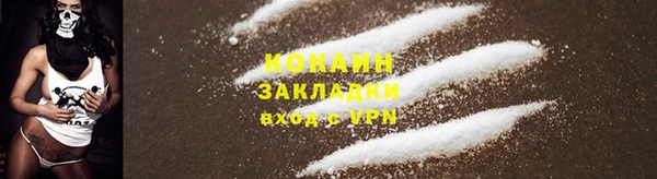 прущие крисы Богданович