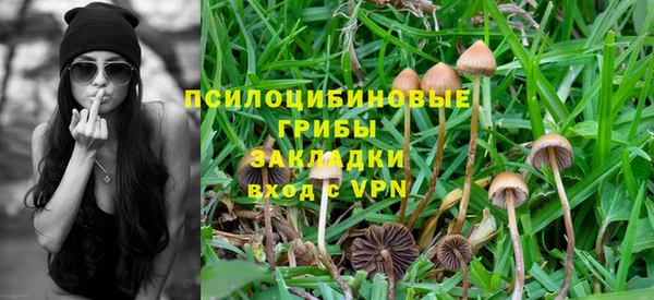 соль курить ск Богородск