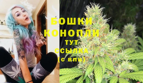 прущие крисы Богданович